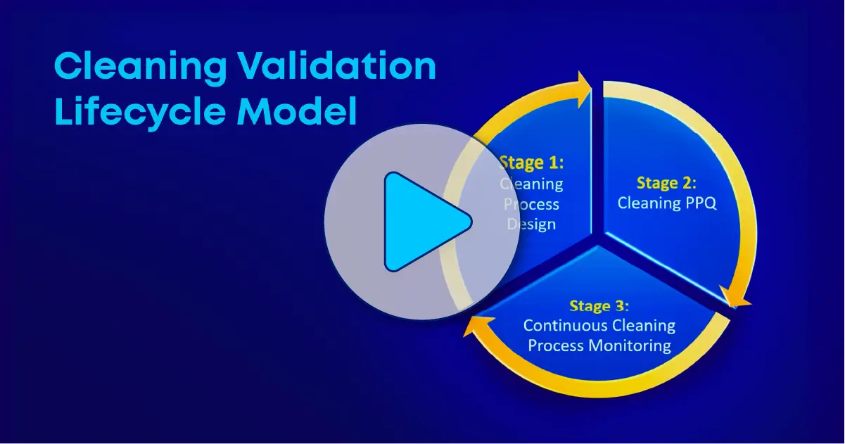 Digitization of Cleaning Validation Life Cycle