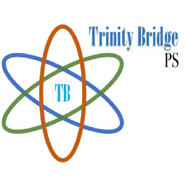 Trinity Bridge Professional Services