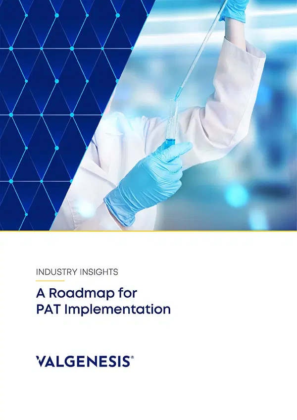 Industry Insight: A Roadmap for PAT Implementation 